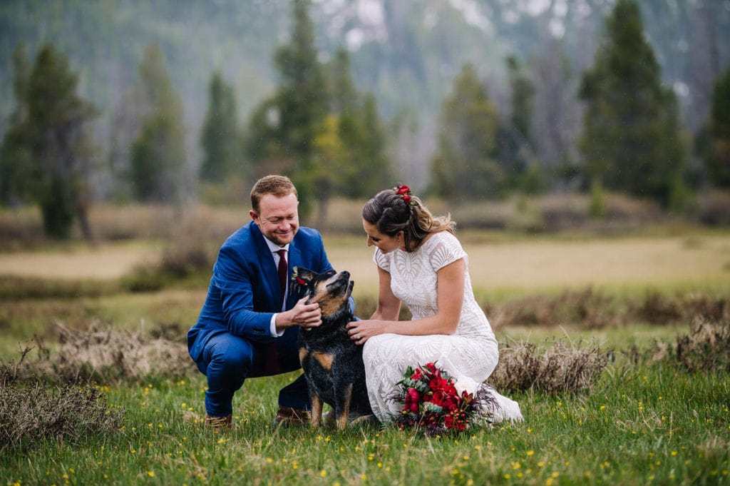 An elopement couples bends down and talks to their dog of honor. Couple is in a green grassy meadow with short sagebrush. There are cloudy mountains and pine trees in the background. Bride is wearing a white, lacy wedding dress with a high neckline.